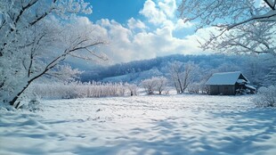 冬日雪景壁纸