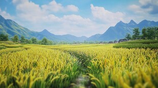 稻田大场景