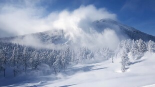 冬日雪景壁纸