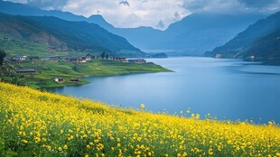 高原花海湖泊