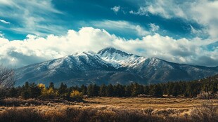 松林雪山秋景图