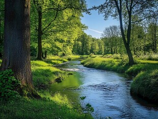 阳光草地溪流