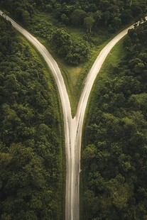 草坪道路鸟瞰