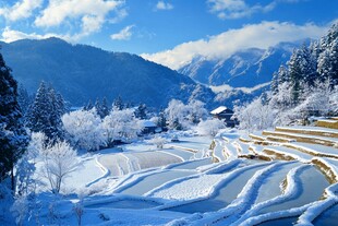 雪后的梯田