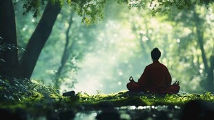 禅修修行坐禅禅宗