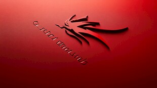 火龙logo设计