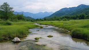 秦岭湿地