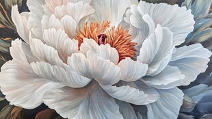 3d立体花卉牡丹