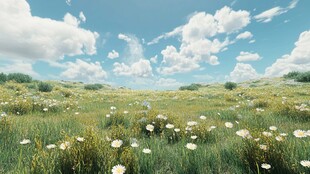 唯美梦幻花田场景