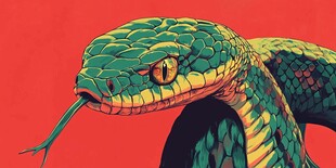 蛇合集插画