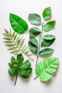 仿真树叶