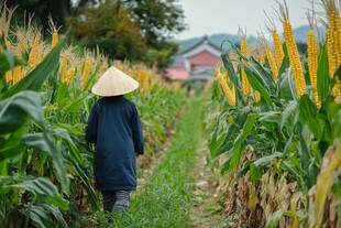 日本农民