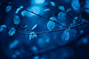 蓝色意境壁纸