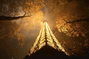 树影铁塔寂静深夜