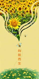 向阳而生 