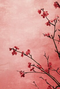 工笔手绘红墙梅花