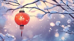 飘雪雪花雪景灯笼