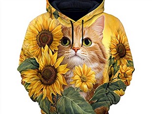 戴兜帽衫的猫