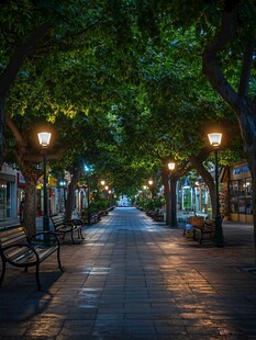 文艺法桐树小道