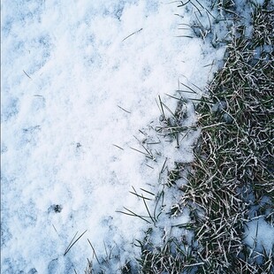 落雪的草皮