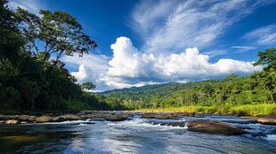 蓝天白云森林河流