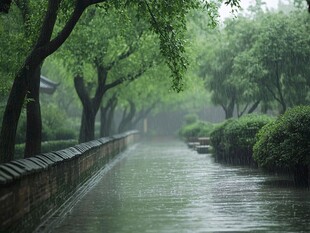 雨中园林