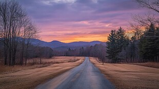 林间道路晚霞