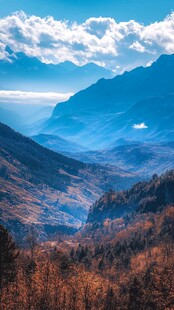 秋季云海森林山峦