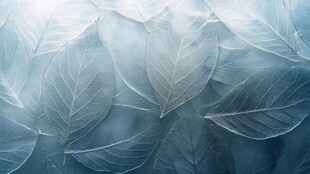 蓝色颜色创意叶脉纹理