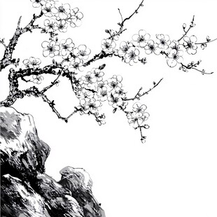 手绘梅花工笔画