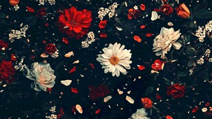 暗背景花卉素材