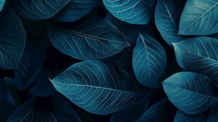 蓝色颜色创意叶脉纹理