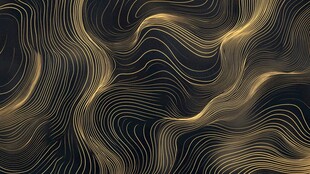 4d金色线条艺术