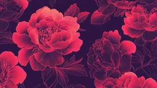 牡丹花壁纸