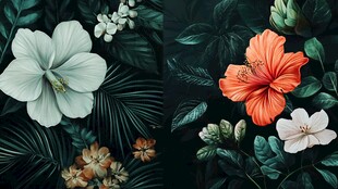 田园风热带树叶花朵