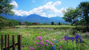 西岭雪山花海