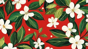 花红果包装插画