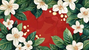 花红果包装插画