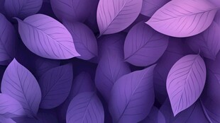 蓝紫色树叶背景