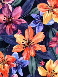 番红花包装插画