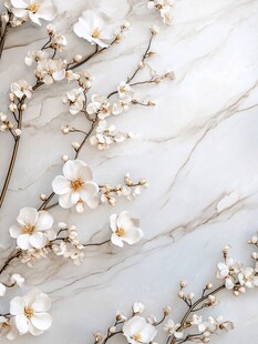 梅花轻奢背景墙