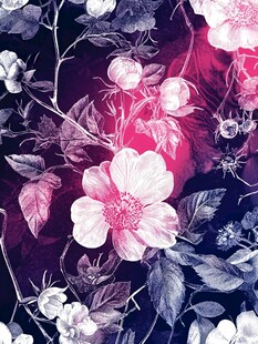 黑底花朵印花图