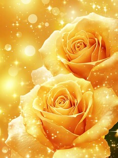 闪光光圈玫瑰花