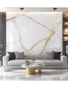 岩板客厅场景素材