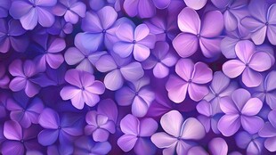 紫色花瓣背景