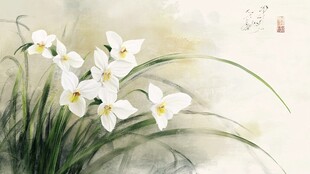 水仙花工笔画