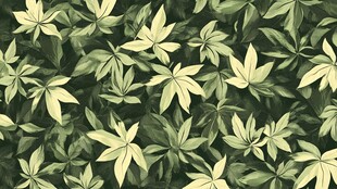 绿色植物背景图案