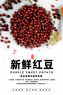 红豆