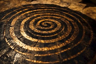 年轮文物