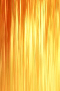 金色毛发线条纹理